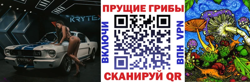 Псилоцибиновые грибы MAGIC MUSHROOMS  продажа наркотиков  Новый Оскол 