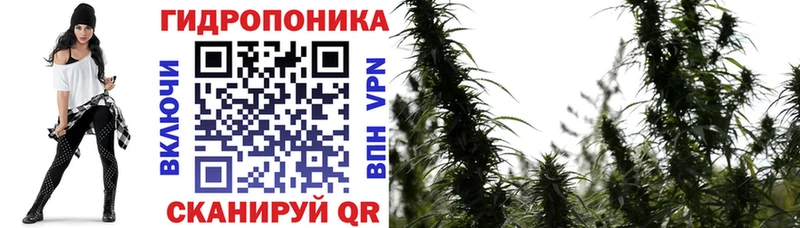 Каннабис гибрид  наркотики  Новый Оскол 